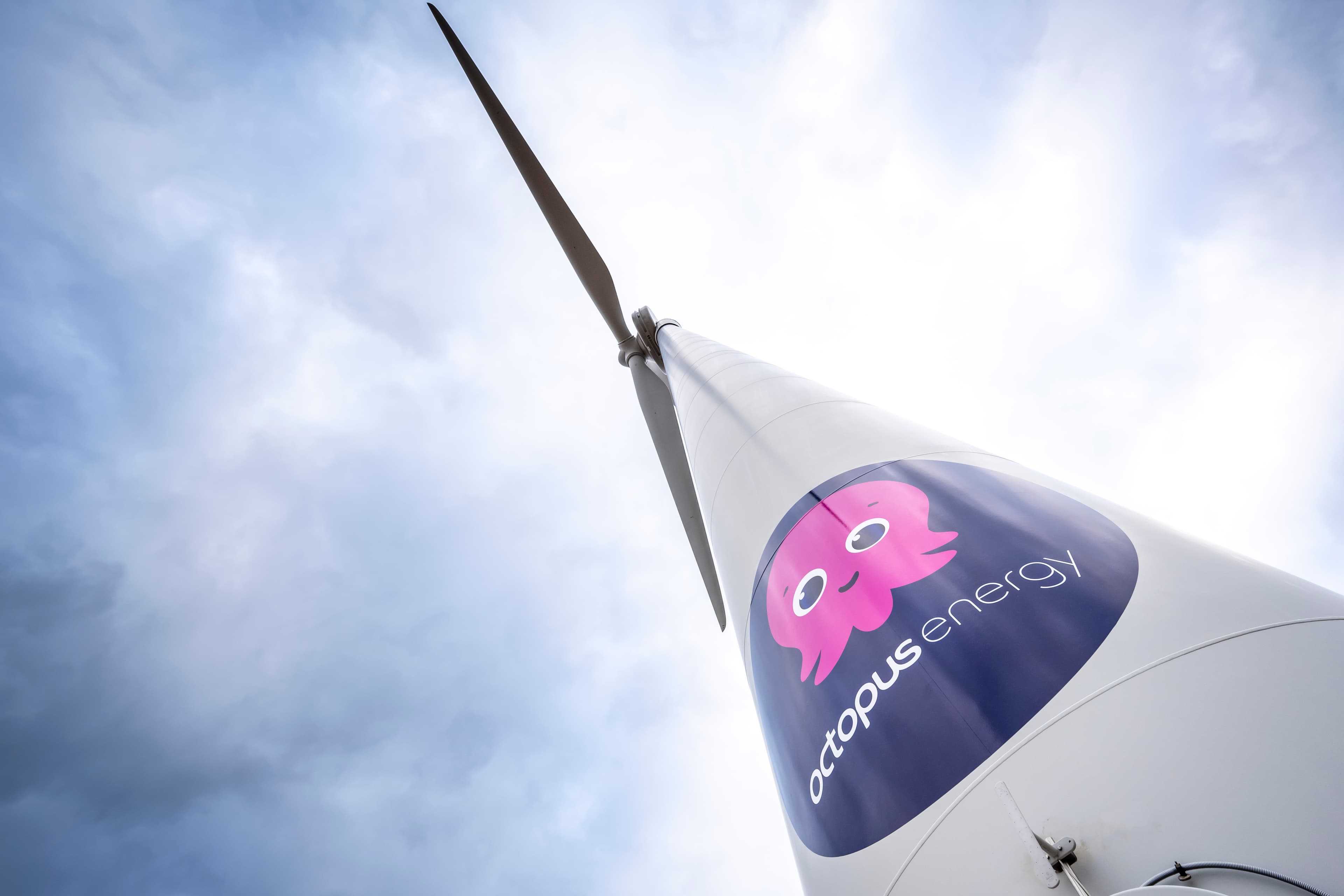 Pala eolica Octopus Energy